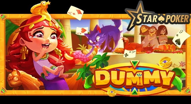 dummy